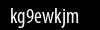 Biztonsági kód