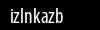 Biztonsági kód