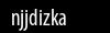 Biztonsági kód