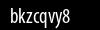 Biztonsági kód