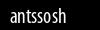 Biztonsági kód