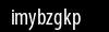 Biztonsági kód