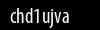 Biztonsági kód