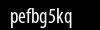 Biztonsági kód