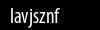 Biztonsági kód