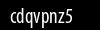 Biztonsági kód