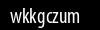 Biztonsági kód