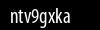 Biztonsági kód