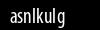 Biztonsági kód