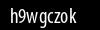 Biztonsági kód